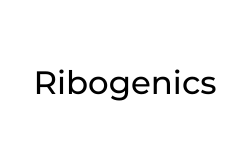 Ribogenics