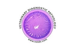 Veterinary Diagnostics Pathology